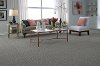Tuftex Stainmaster Private Eyes II Carpet-2