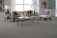 DSW.ECHO.BEACH.II Tuftex Stainmaster Private Eyes II Carpet-2