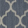 DSW.ALL.YOUR.OWN.II Tuftex Stainmaster All Your Own II Carpet