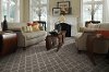 Tuftex Stainmaster All Your Own II Carpet-2