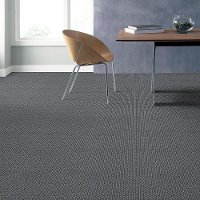 DSW.HAUSER Tuftex Hauser Carpet-2