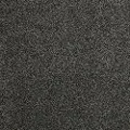 DSW.HOLLISTER Tuftex Hollister Carpet