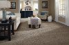 Tuftex Stainmaster Hollister Carpet-2