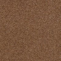 Tuftex Stainmaster Tango Carpet