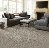 Tuftex Stainmaster Tango Carpet-2