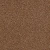 DSW.TANGO Tuftex Tango Carpet