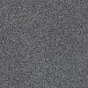 Tuftex Stainmaster World Class Carpet-1