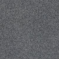 Tuftex Stainmaster World Class Carpet