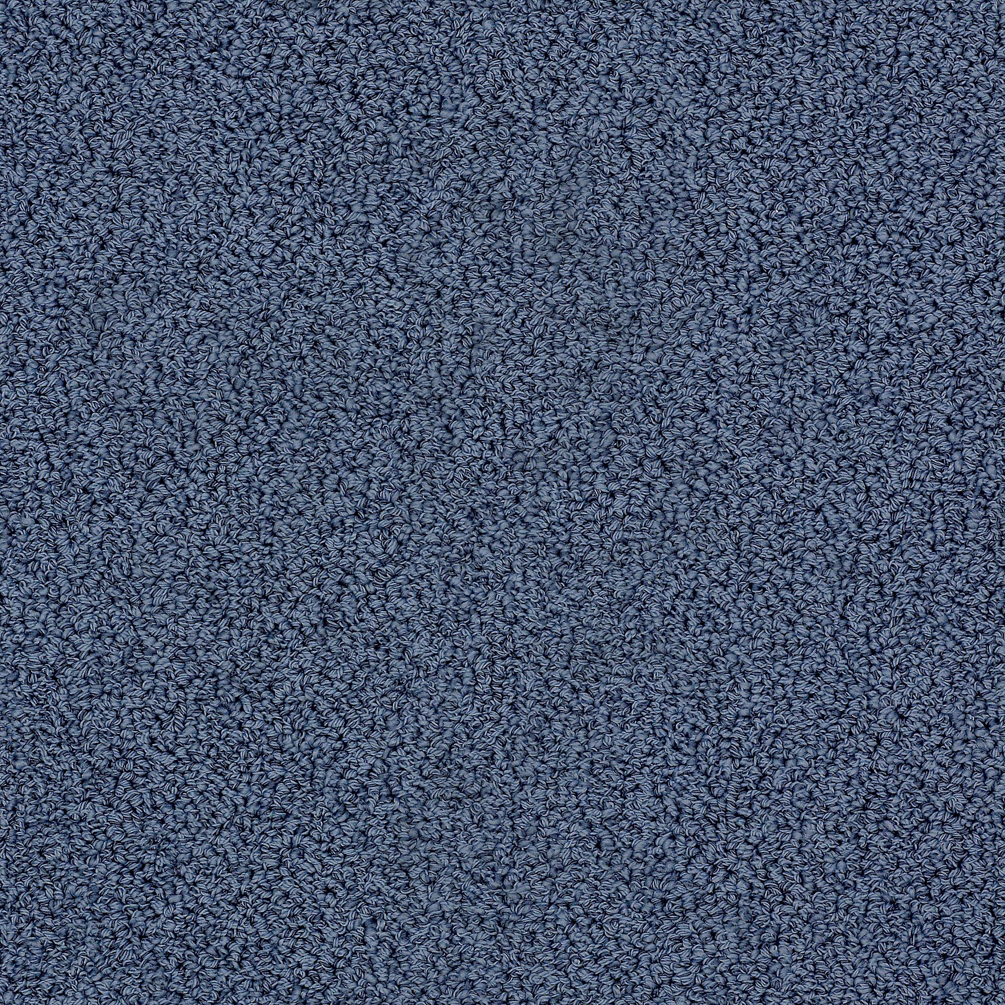 DSW.EMPRESS Tuftex Empress Carpet-1