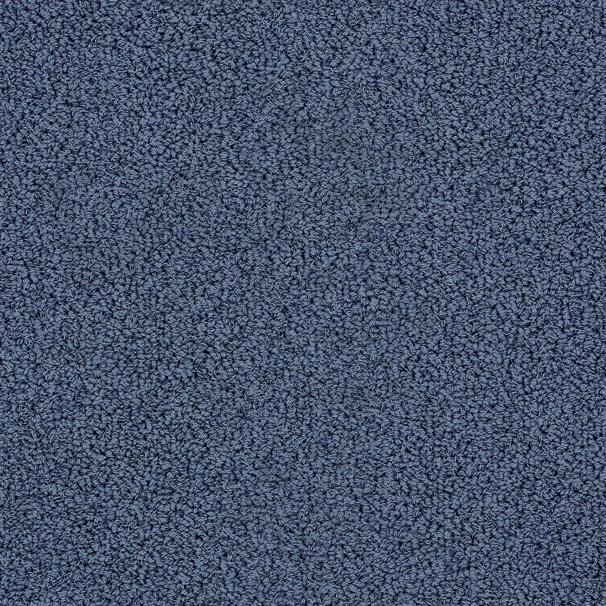 DSW.EMPRESS Tuftex Empress Carpet-1