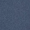 DSW.EMPRESS Tuftex Empress Carpet