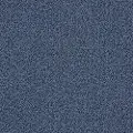 DSW.EMPRESS Tuftex Empress Carpet