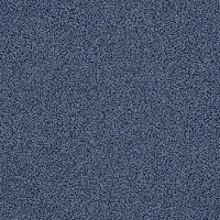 DSW.EMPRESS Tuftex Empress Carpet