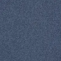 DSW.EMPRESS Tuftex Empress Carpet