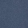 DSW.EMPRESS Tuftex Stainmaster Empress Carpet