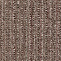 Tuftex Stainmaster Palo Alto Carpet