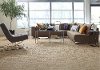 Tuftex Stainmaster Palo Alto Carpet-2