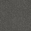 DSW.TOP.STAR Tuftex Stainmaster Top Star Carpet