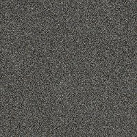 DSW.TOP.STAR Tuftex Stainmaster Top Star Carpet