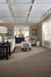 DSW.TOP.STAR Tuftex Stainmaster Top Star Carpet-2