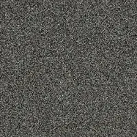 DSW.TOP.STAR Tuftex Top Star Carpet