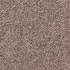 KAR.FORMAL.EMBRACE.STOCK Karastan Formal Embrace Carpet