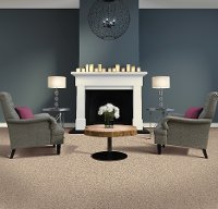 KAR.FORMAL.EMBRACE.STOCK Karastan Formal Embrace Carpet-2