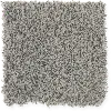 KAR.DOVER.COAST Karastan Dover Coast Carpet