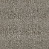 Phenix Stainmaster Narrative Carpet
