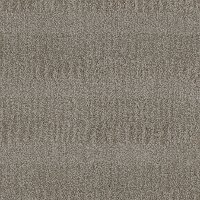 Phenix Stainmaster Narrative Carpet