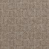 Phenix Stainmaster Poetry Carpet