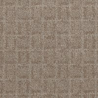 Phenix Stainmaster Poetry Carpet