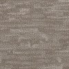 Phenix Stainmaster Lyrical Carpet