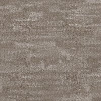 Phenix Stainmaster Lyrical Carpet