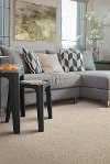 Mohawk Voyage Carpet-2