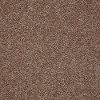 Shaw Dyersburg Classic Carpet-1