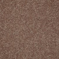 Shaw Dyersburg Classic Carpet