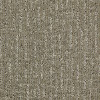 Shaw So Appealing Carpet