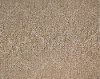 LEXM.SILHOUETTE Lexmark Silhouette Carpet
