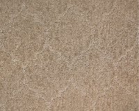 Lexmark Silhouette Carpet