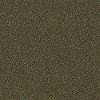 PHL.TEMPT.ME.II Shaw Stainmaster Tempt Me II Carpet