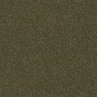 Shaw Stainmaster Tempt Me II Carpet