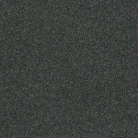 PHL.TEMPT.ME.I Shaw Stain Protection Tempt Me I Carpet-1