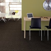 PHL.TEMPT.ME.I Shaw Stain Protection Tempt Me I Carpet-2