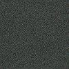 Shaw Stainmaster Tempt Me I Carpet-1