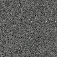 Shaw Stainmaster Charming Touch I Carpet