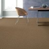 Shaw Stainmaster Charming Touch I Carpet-2