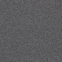 Shaw Stainmaster Simply Stated II Carpet