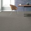 Shaw Stainmaster Simply Stated II Carpet-2