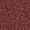Shaw Stainmaster Simply Stated I Carpet-1